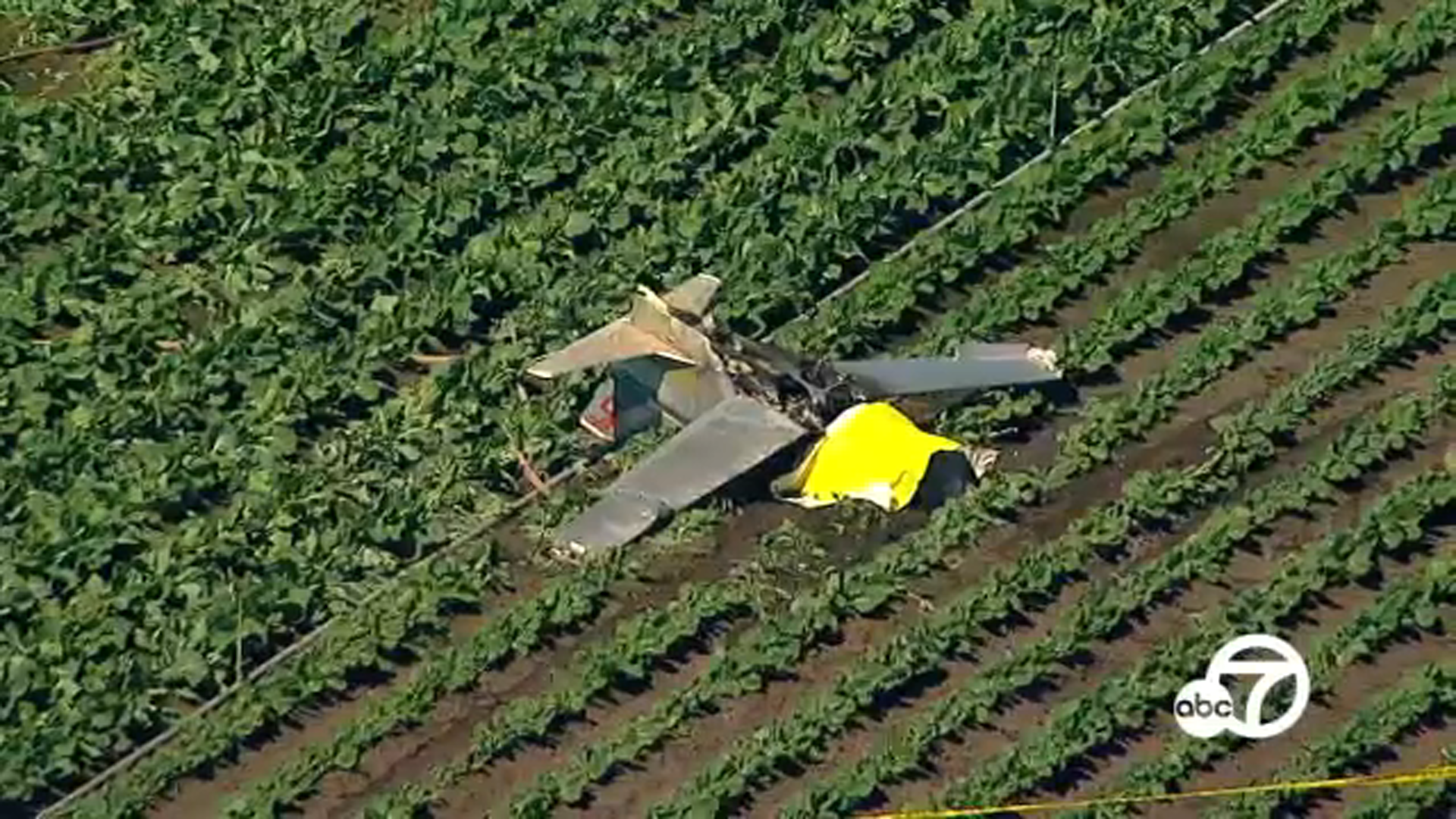 Pilot killed in small plane crash near Camarillo Airport