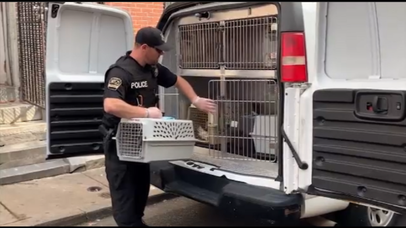 Philadelphia police executing warrant find 43 birds, suspected