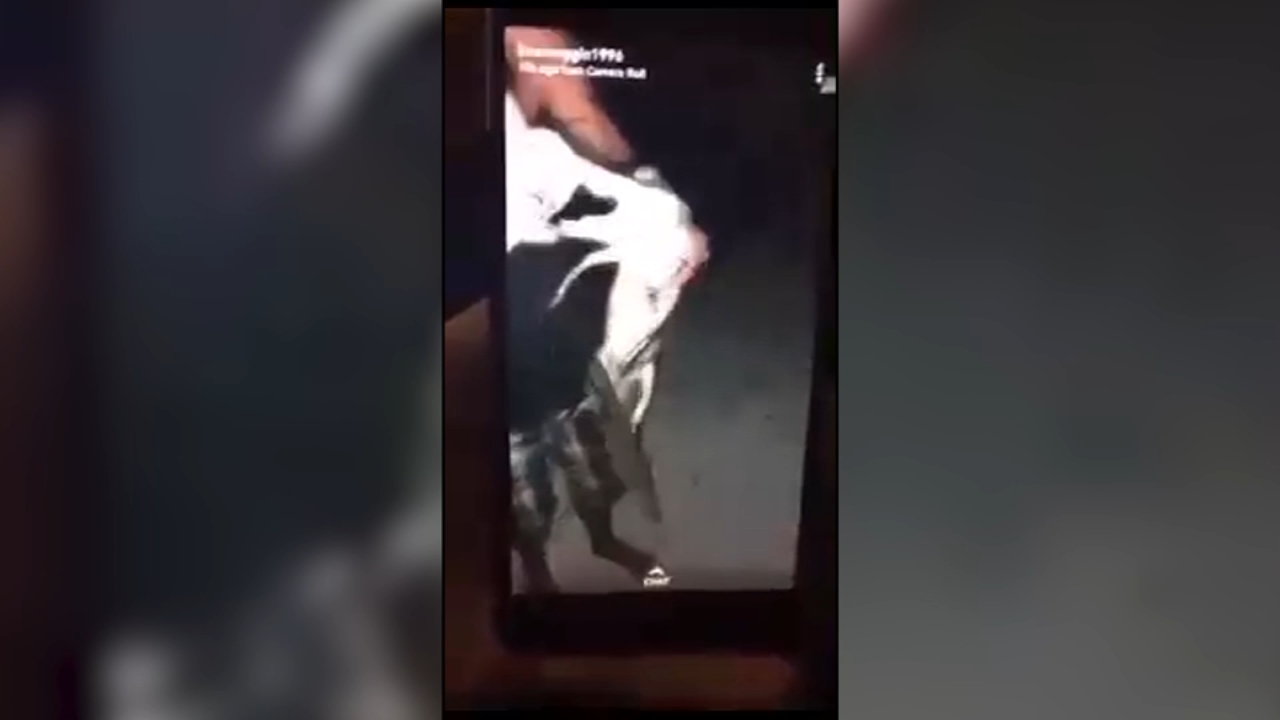 2 charged after video shows men pouring beer down alligator's throat
