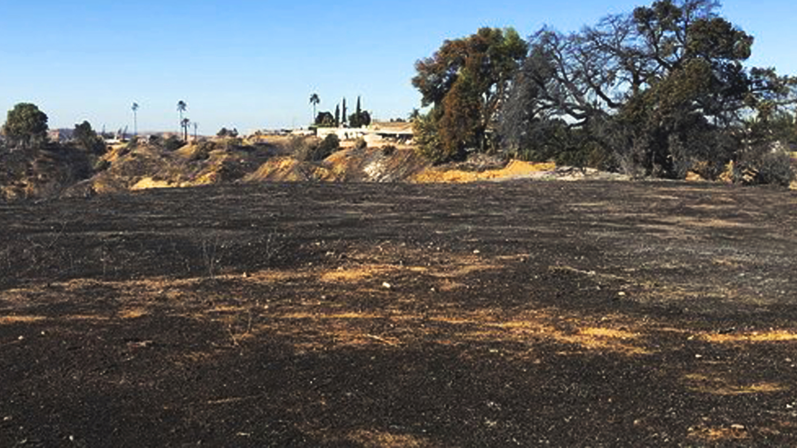 Sandalwood Fire Containment grows after 1 dead, 76 structures