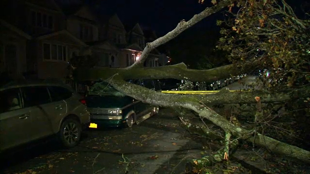 Strong winds bring down trees, cause damage across area