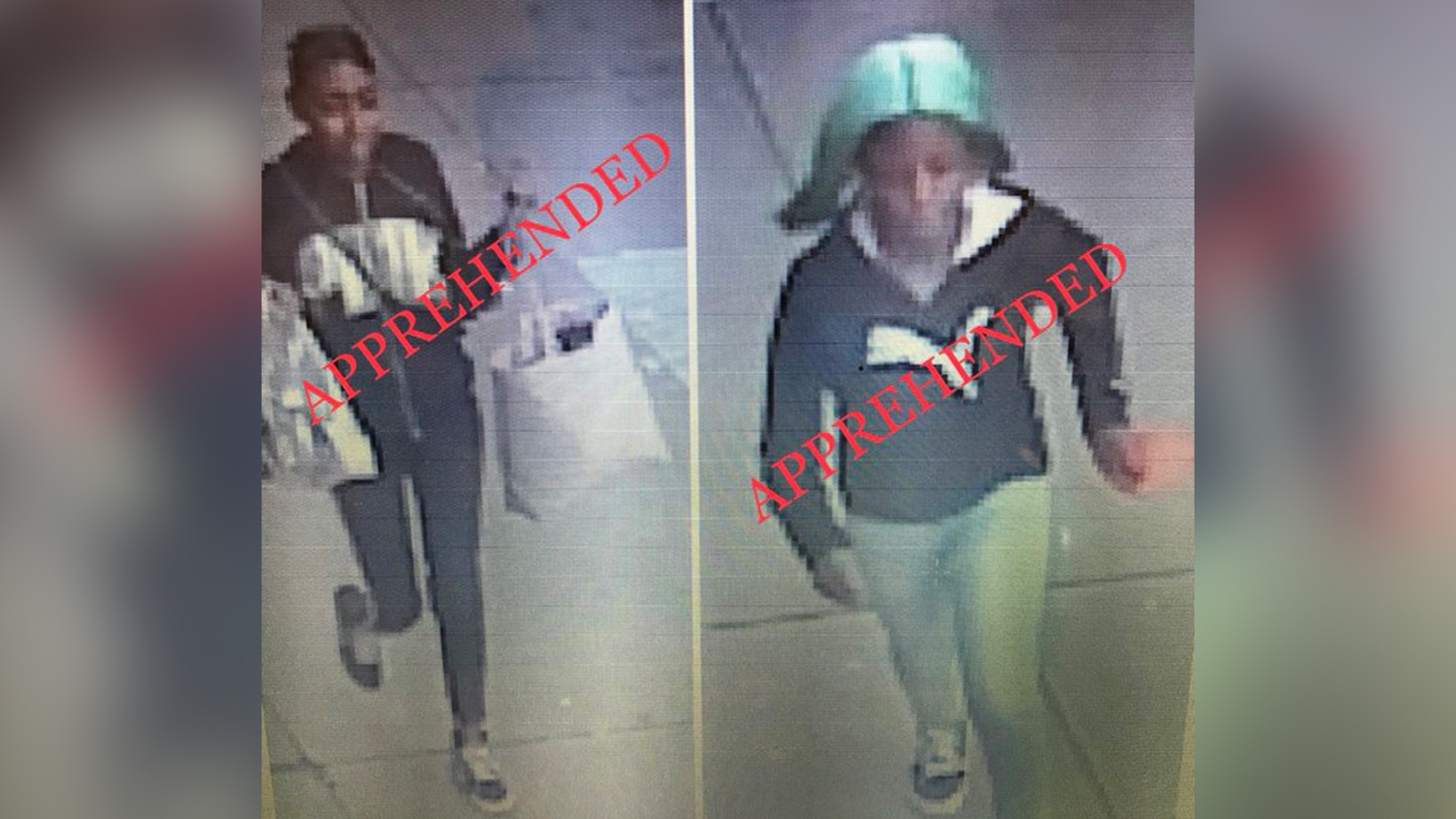 Police arrest 2 young women in attack, robbery of 85-year-old woman on ...