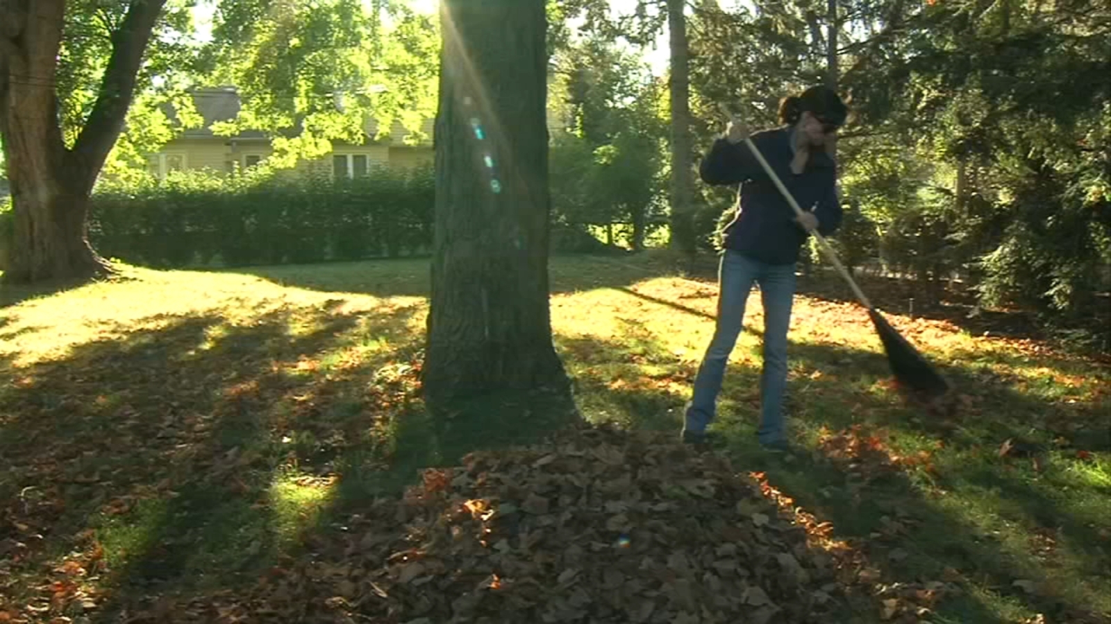 Tips to prevent back injuries while raking and picking up leaves 6abc