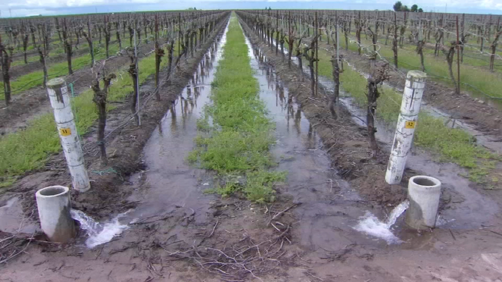 California's Sustainable Groundwater Management Act will have