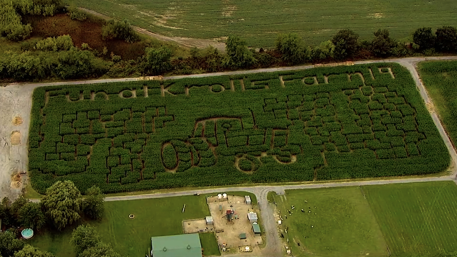 How to Carve a Corn Maze with Machetes ABC7 Los Angeles