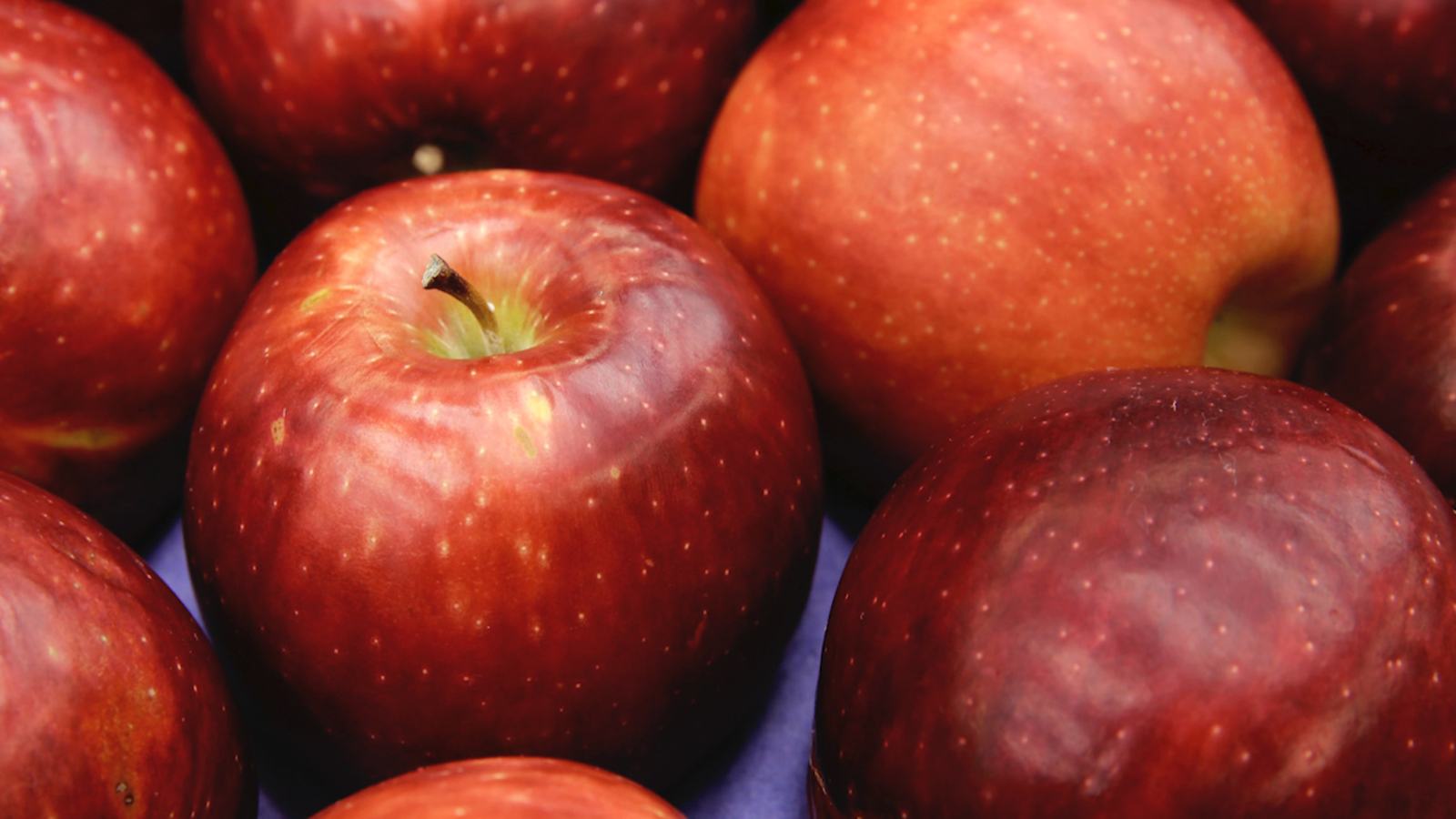 Cosmic Crisp apple to debut as new variety this December