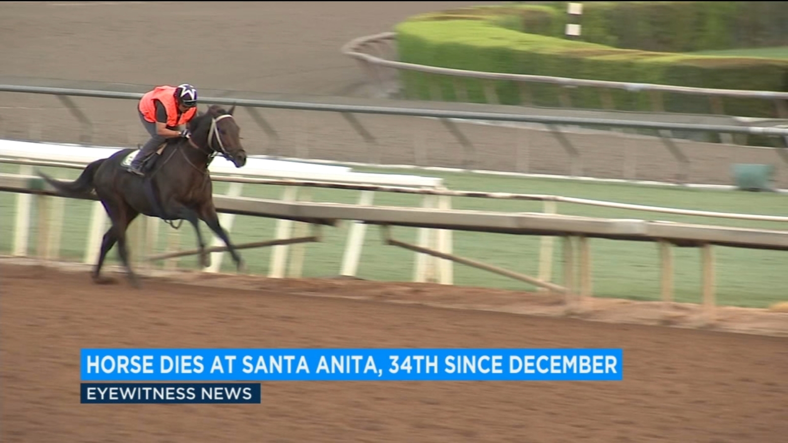 34th horse dies at Santa Anita since December ABC30 Fresno