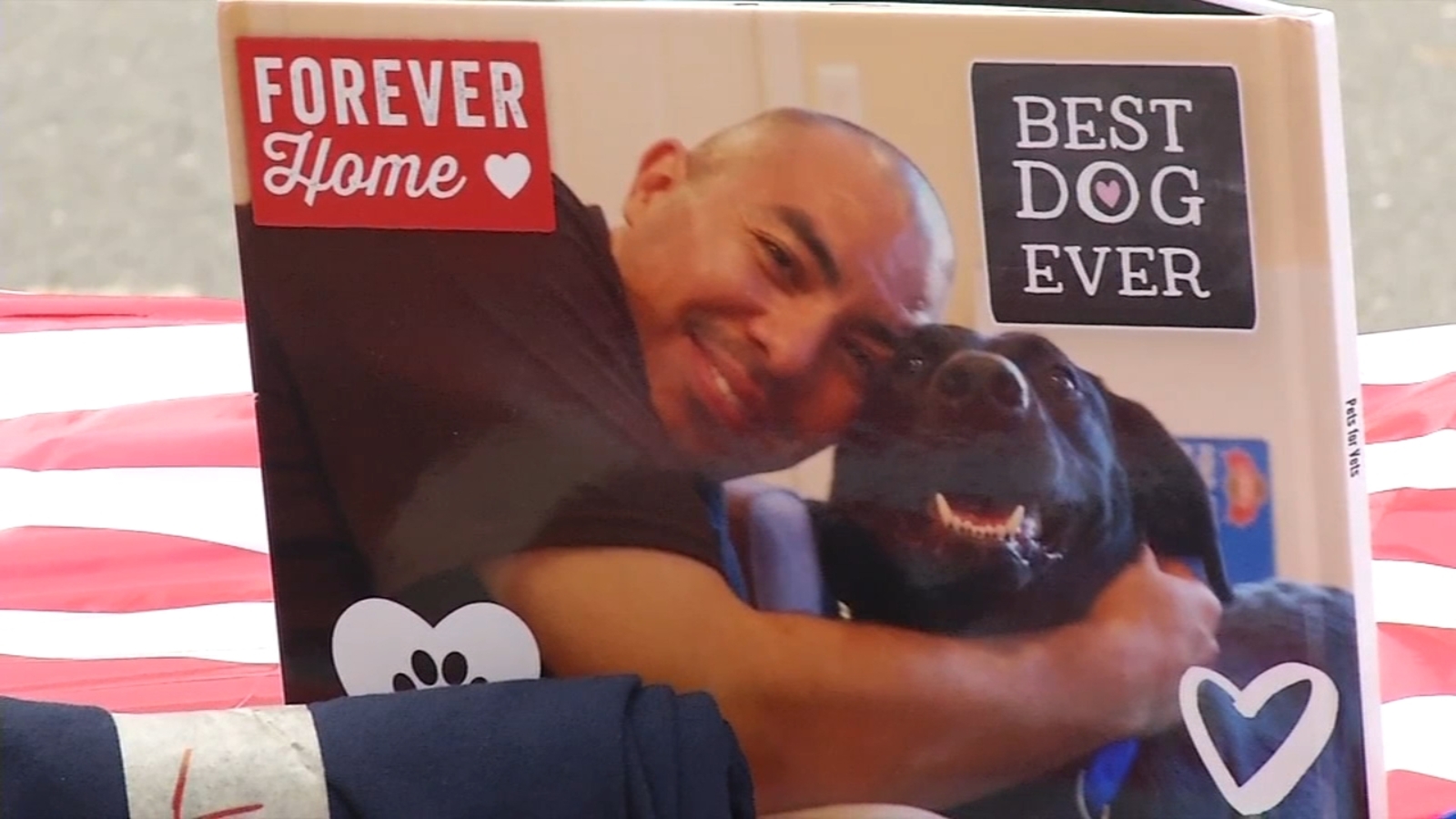 Pets for Vets matches service animals with veterans 6abc Philadelphia