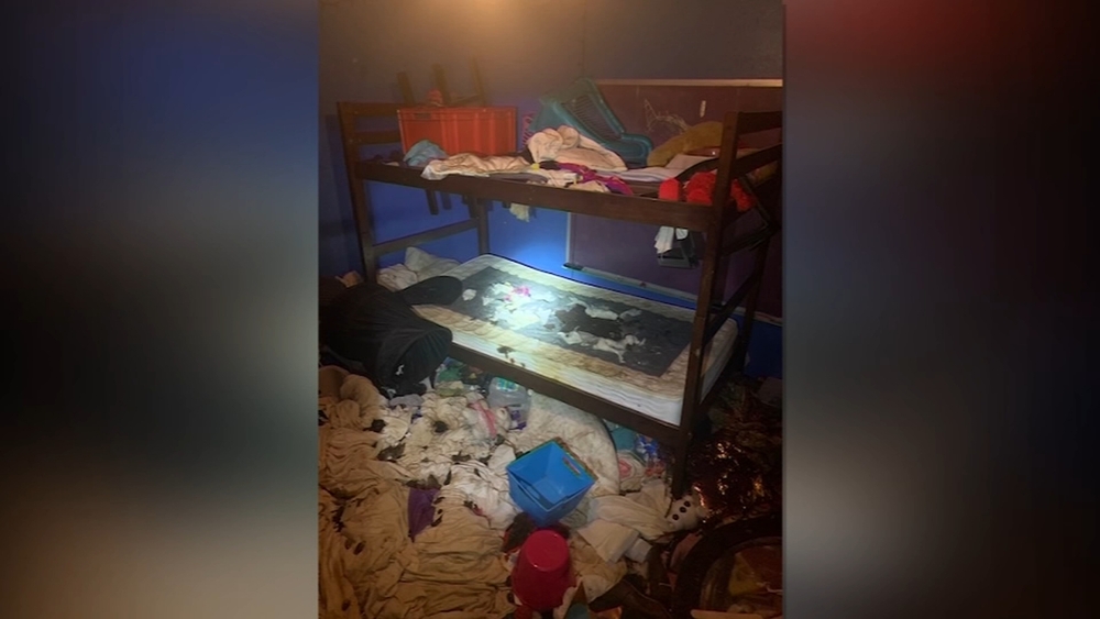 Police remove 3 kids, 245 animals from 'deplorable' home in Florida