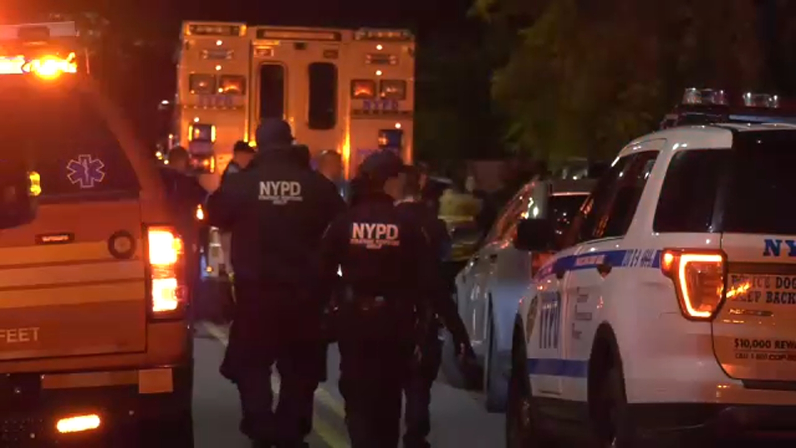 Woman found fatally shot in head in Mariners Harbor - ABC7 New York