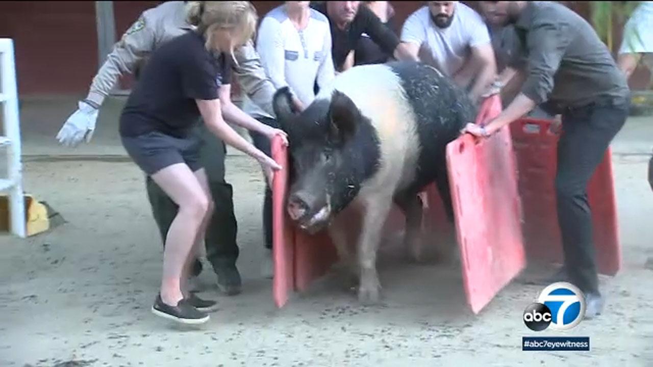 large animal sanctuary near me