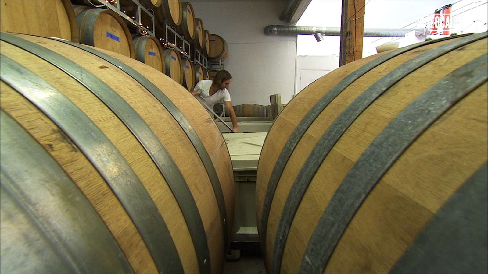 Los Angeles Wine Making Revived by Angeleno Wine Company ABC7 Chicago