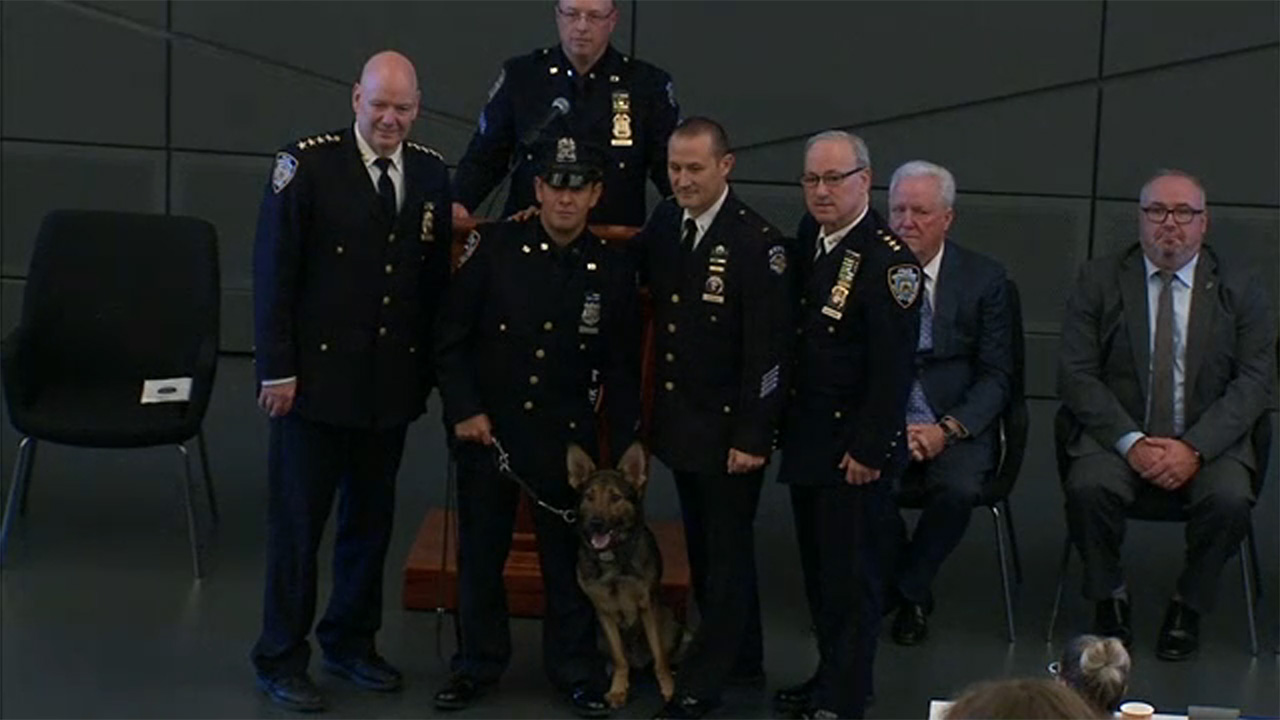 NYPD's newest class of K-9's graduate