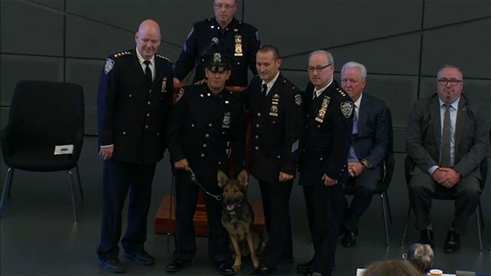 NYPD's newest class of K-9's graduate