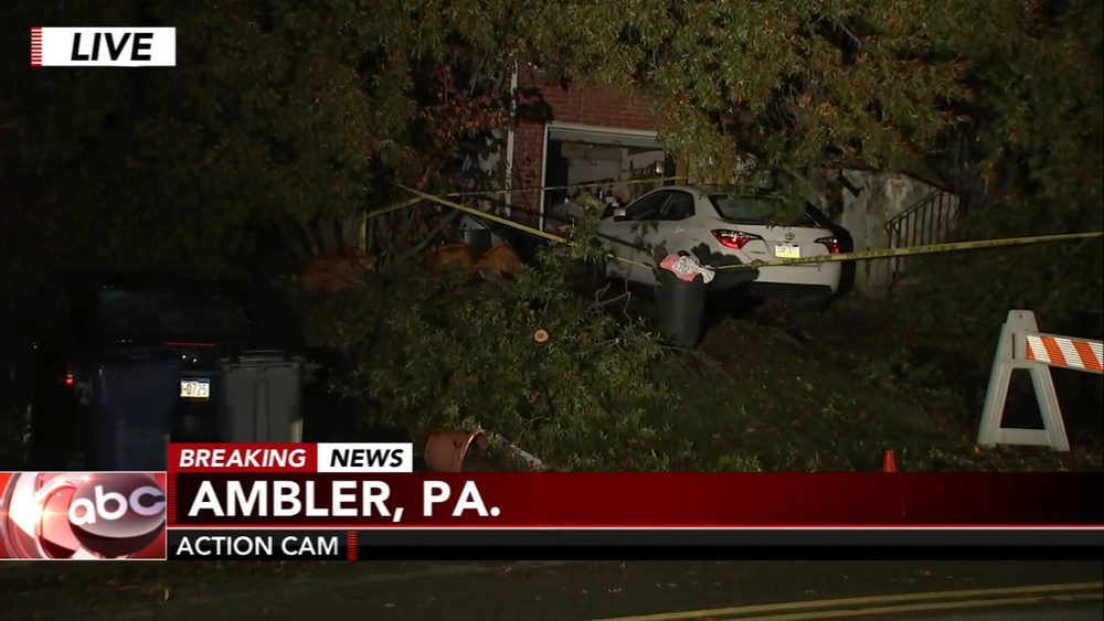 Couple rescued after tree hits Ambler home