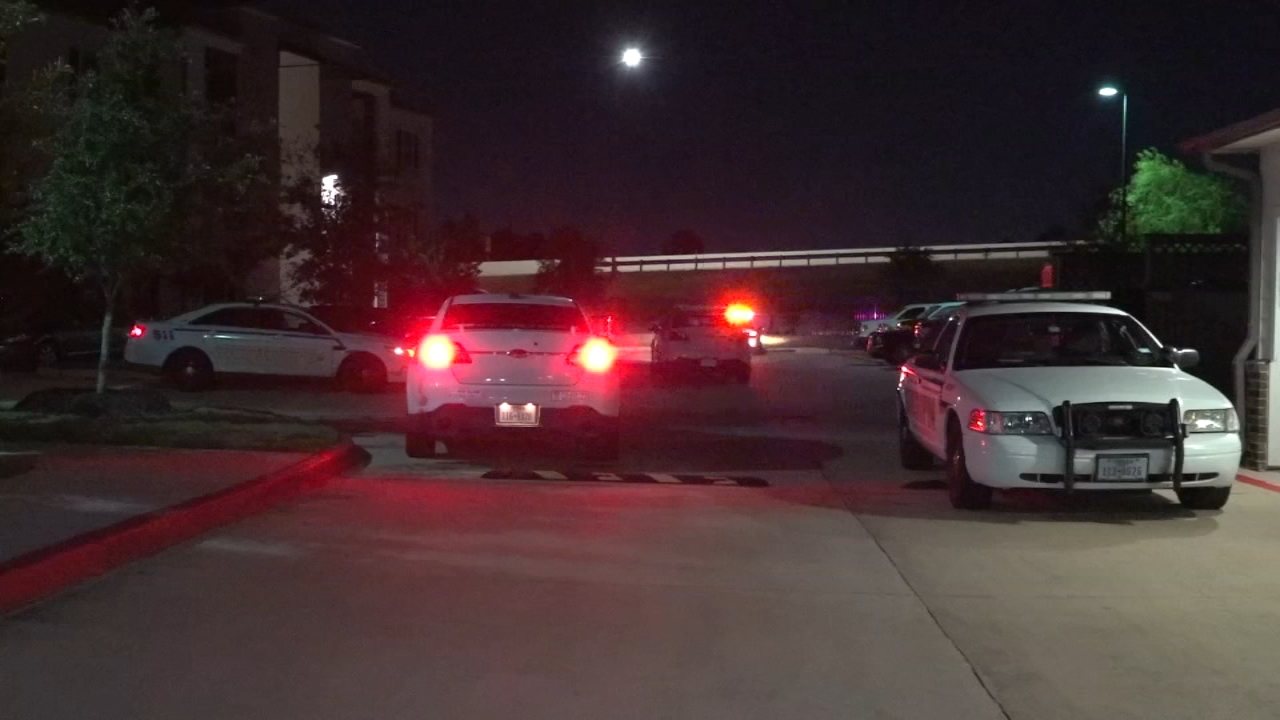 Woman allegedly stabs boyfriend to death