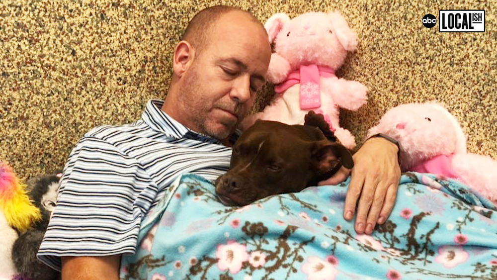 Man moves in with shelter dog to help get her adopted