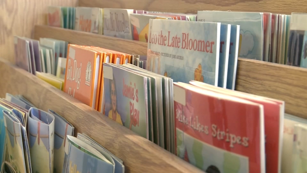 Woman arrested for overdue library books