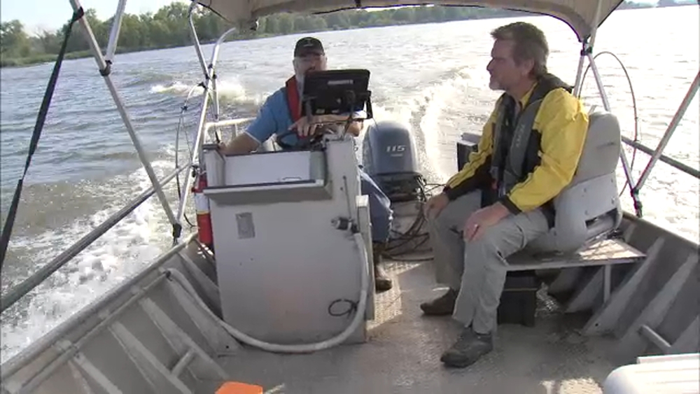 'Carp Cowboys' Wrangle Invasive Flying Fish to Keep Them at Bay