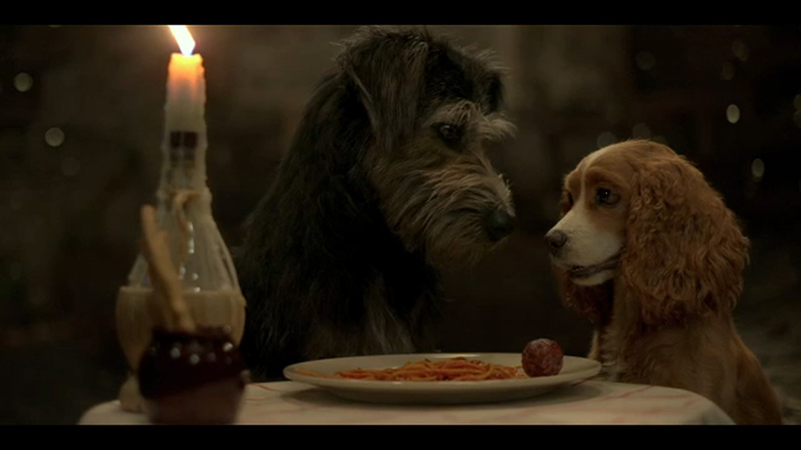 Live action 'Lady and the Tramp' to debut on Disney+