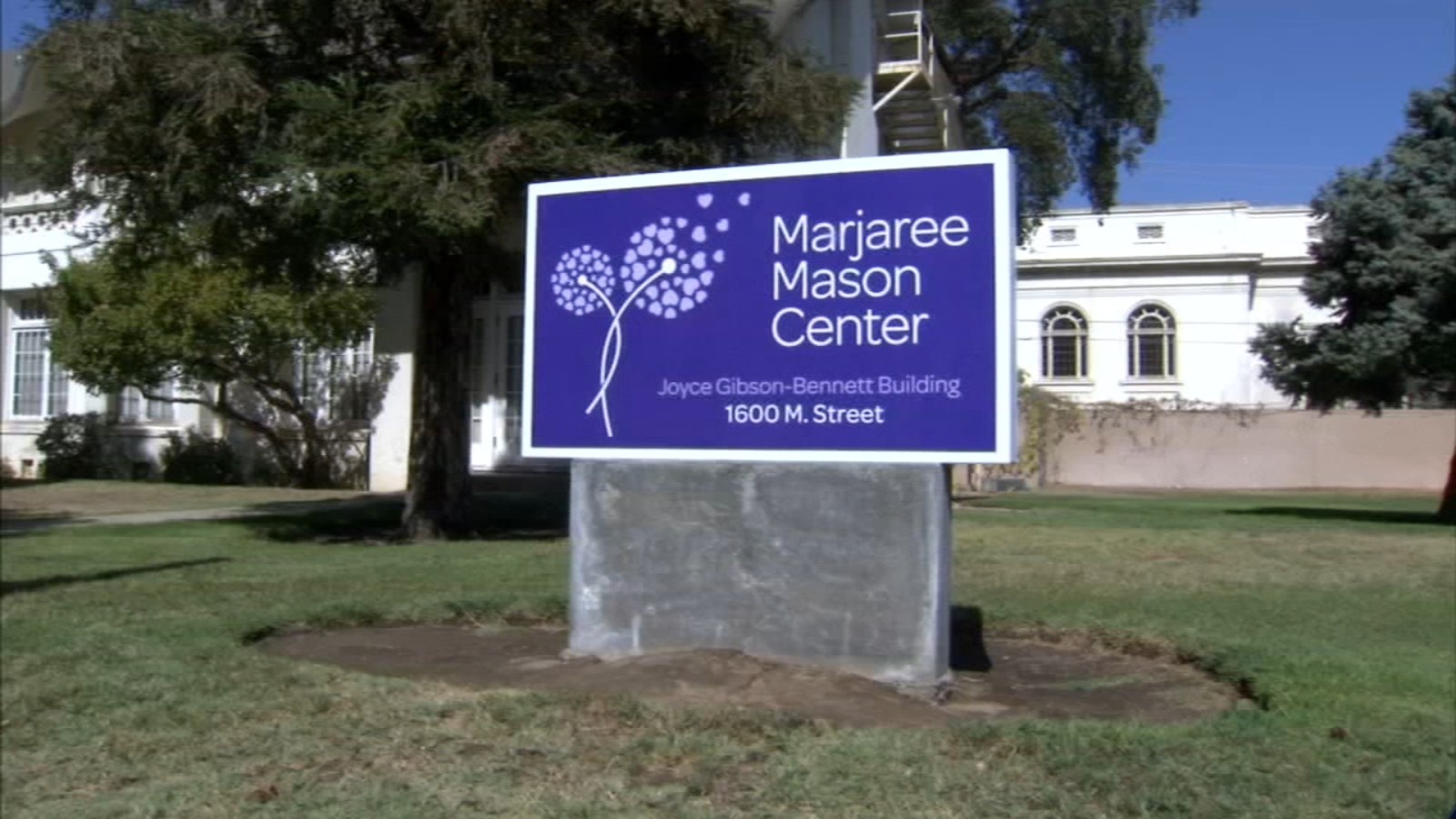 Marjaree Mason's Legacy: Supporting Survivors Of Domestic Violence Today