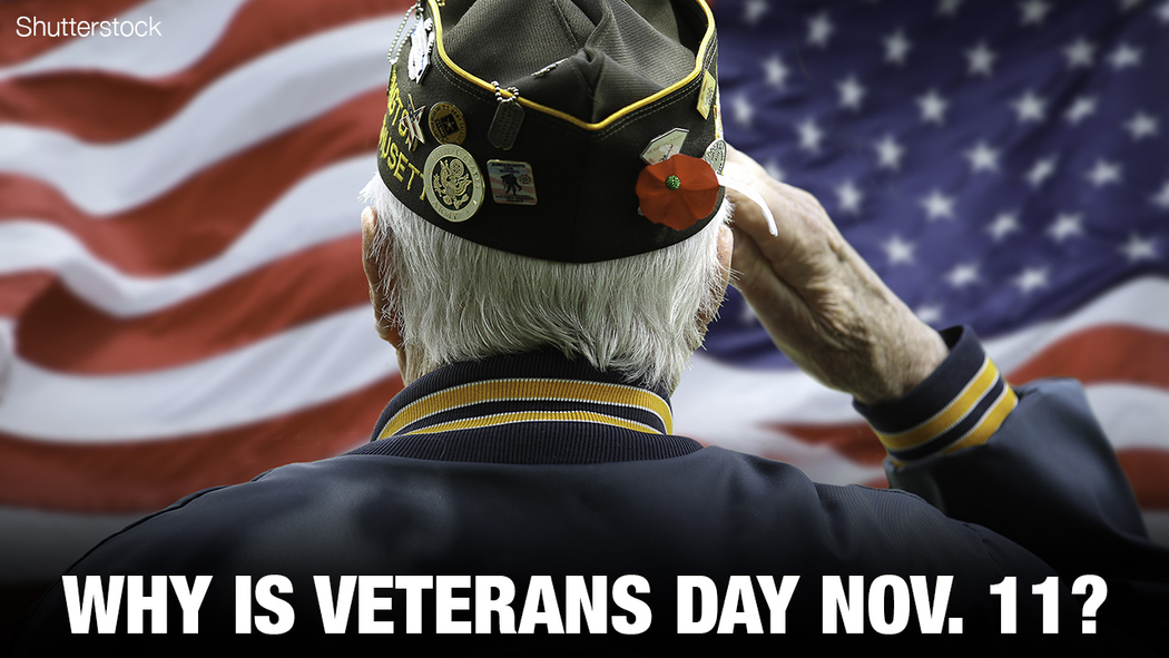 Why is Veterans Day on November 11? What you should know  display picture 2