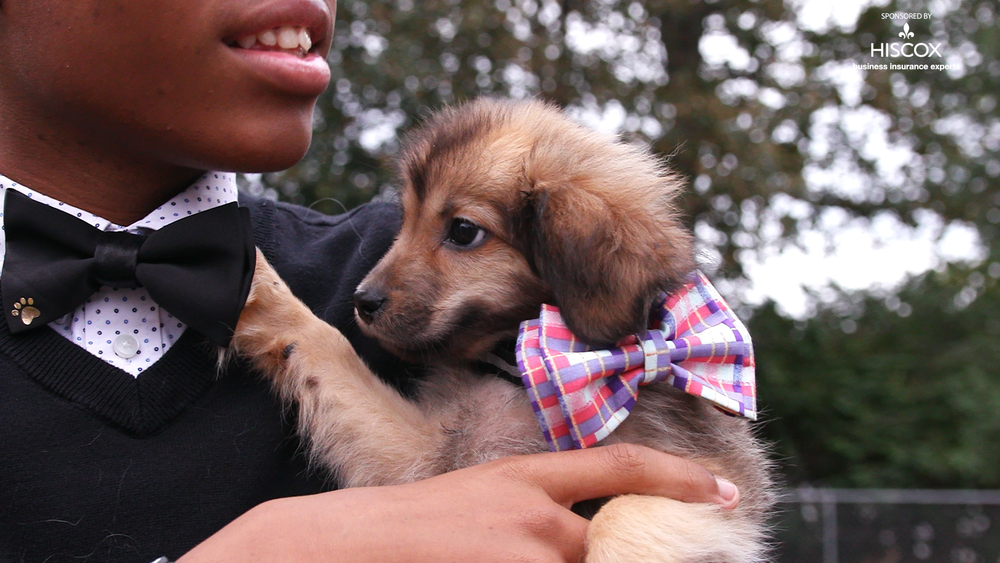 12-Year-Old Boy Saves Shelter Dogs With Bowties