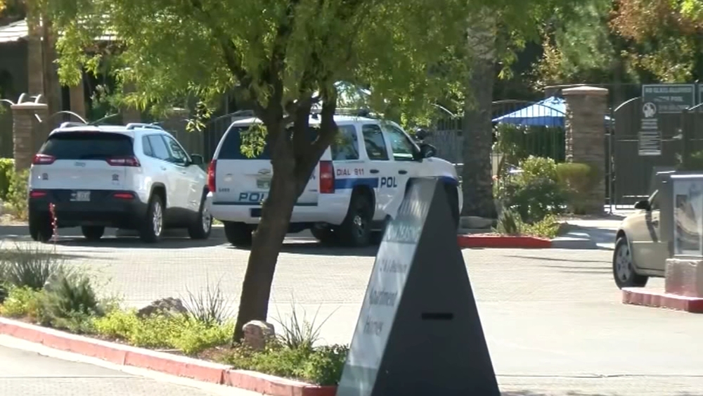 'My mom is trying to kill me': Cops release terrifying 911 call from  7-year-old stabbed by his mother - ABC7 Chicago