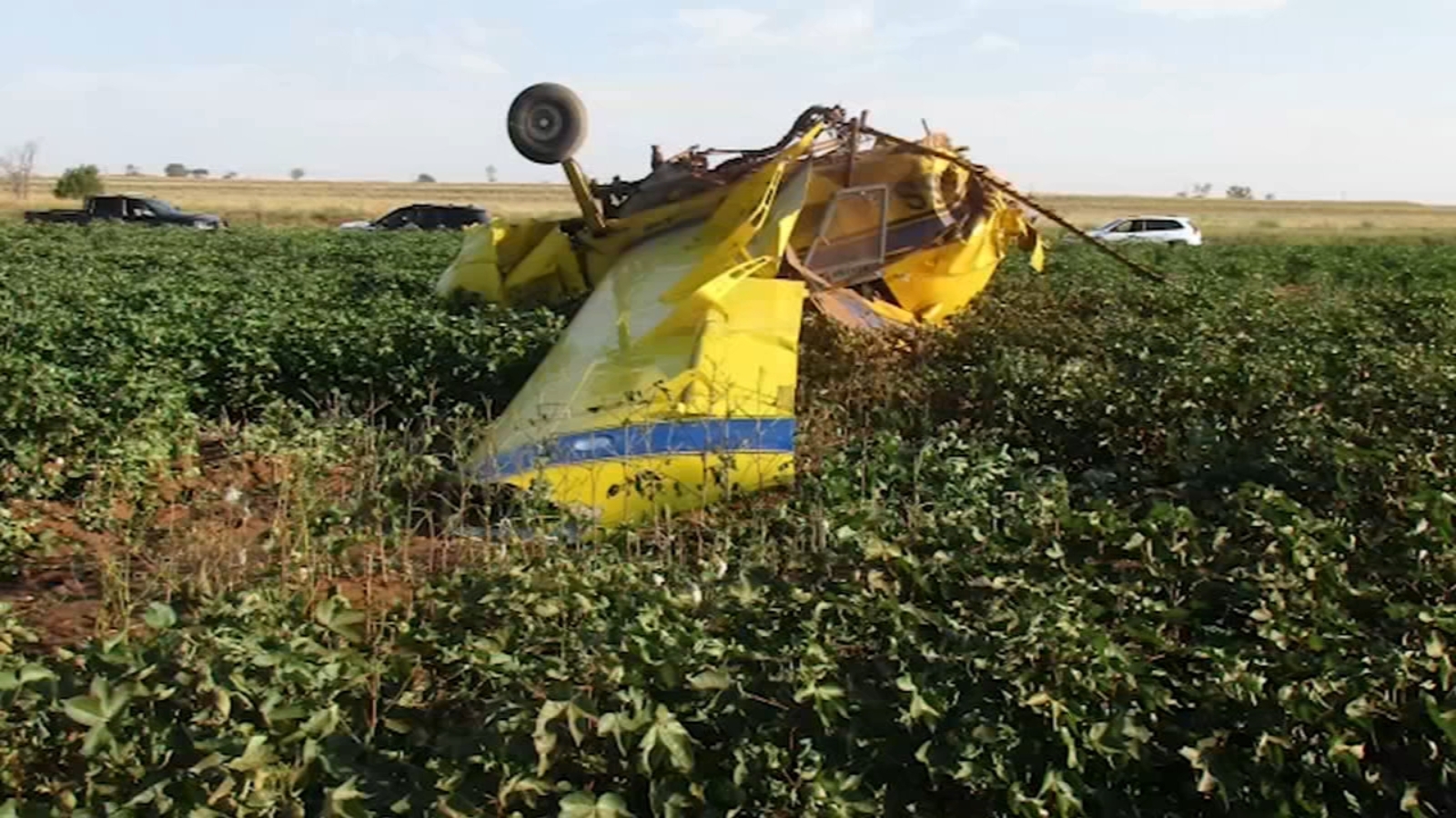 Gender reveal stunt goes wrong as plane crashes in Texas - ABC13 Houston