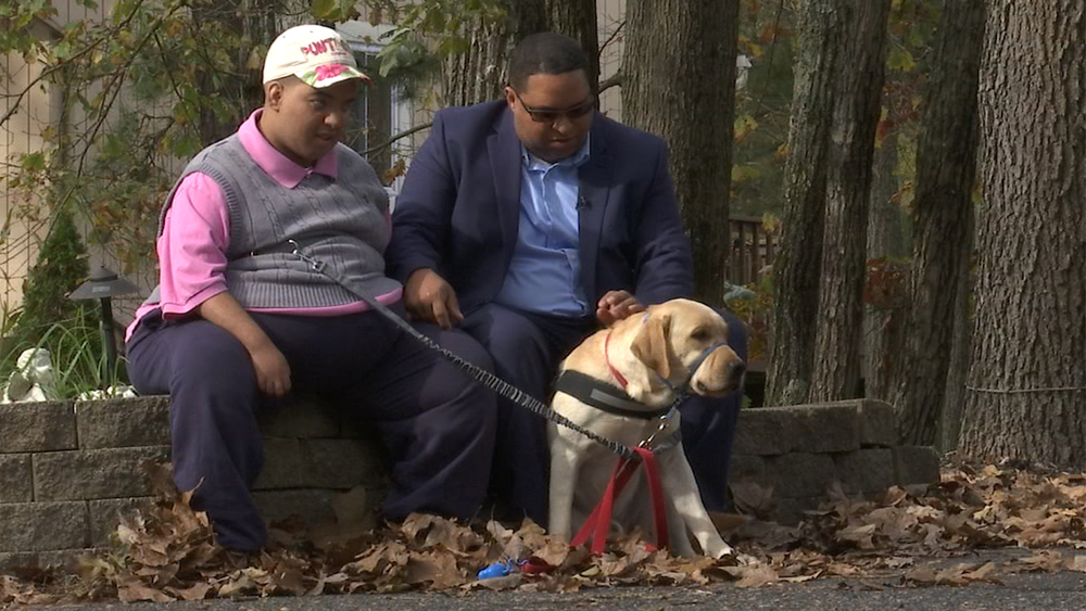 Amazing service dog can sense his owner's seizures, offer help and comfort