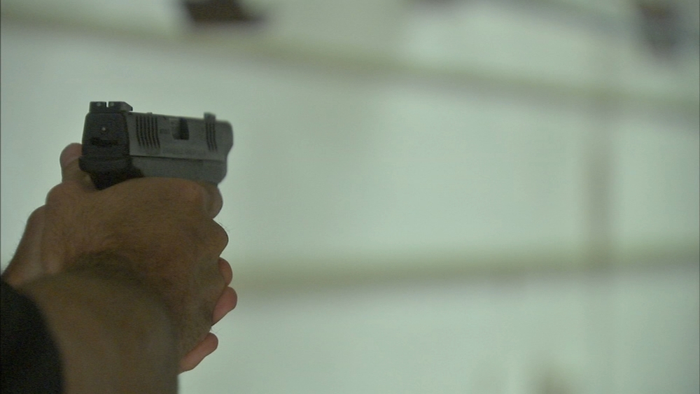 Some Illinois gun owners vexxed trying to renew state firearm cards