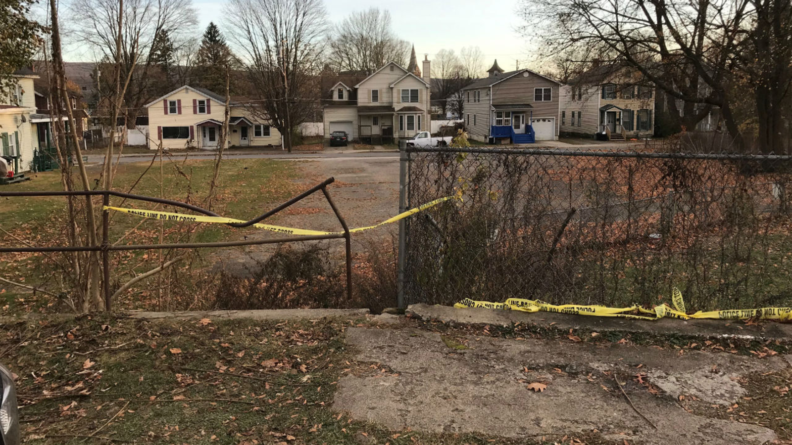 Investigation underway after fetus discovered in wooded area in Port