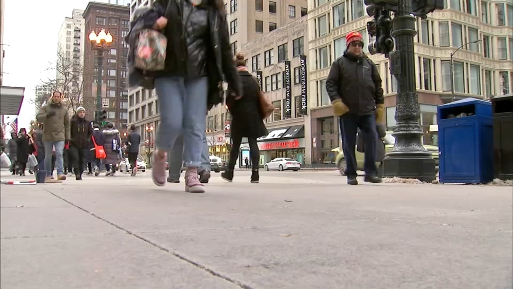Teams of shoplifters target Chicago stores near downtown, North Side