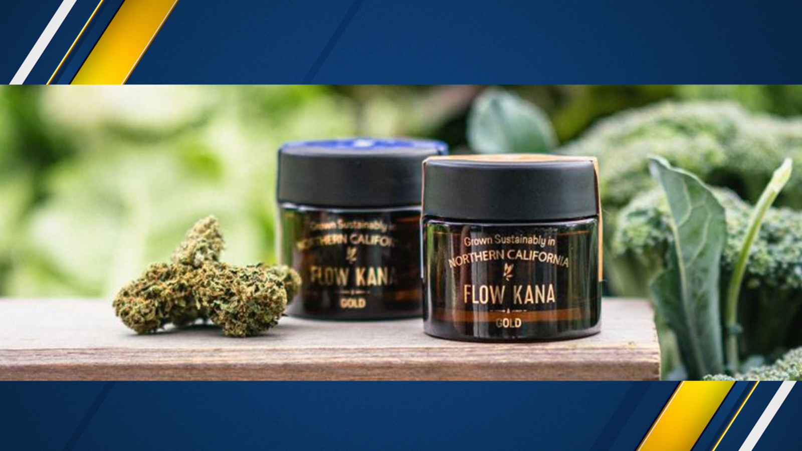 California cannabis CEO lays off 20 percent of his workers, blames State of California