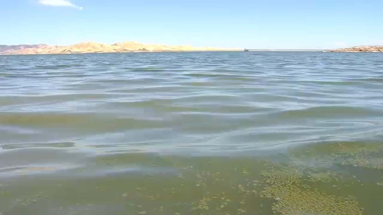 Toxic blue-green algae health advisory lifted for San Luis Reservoir