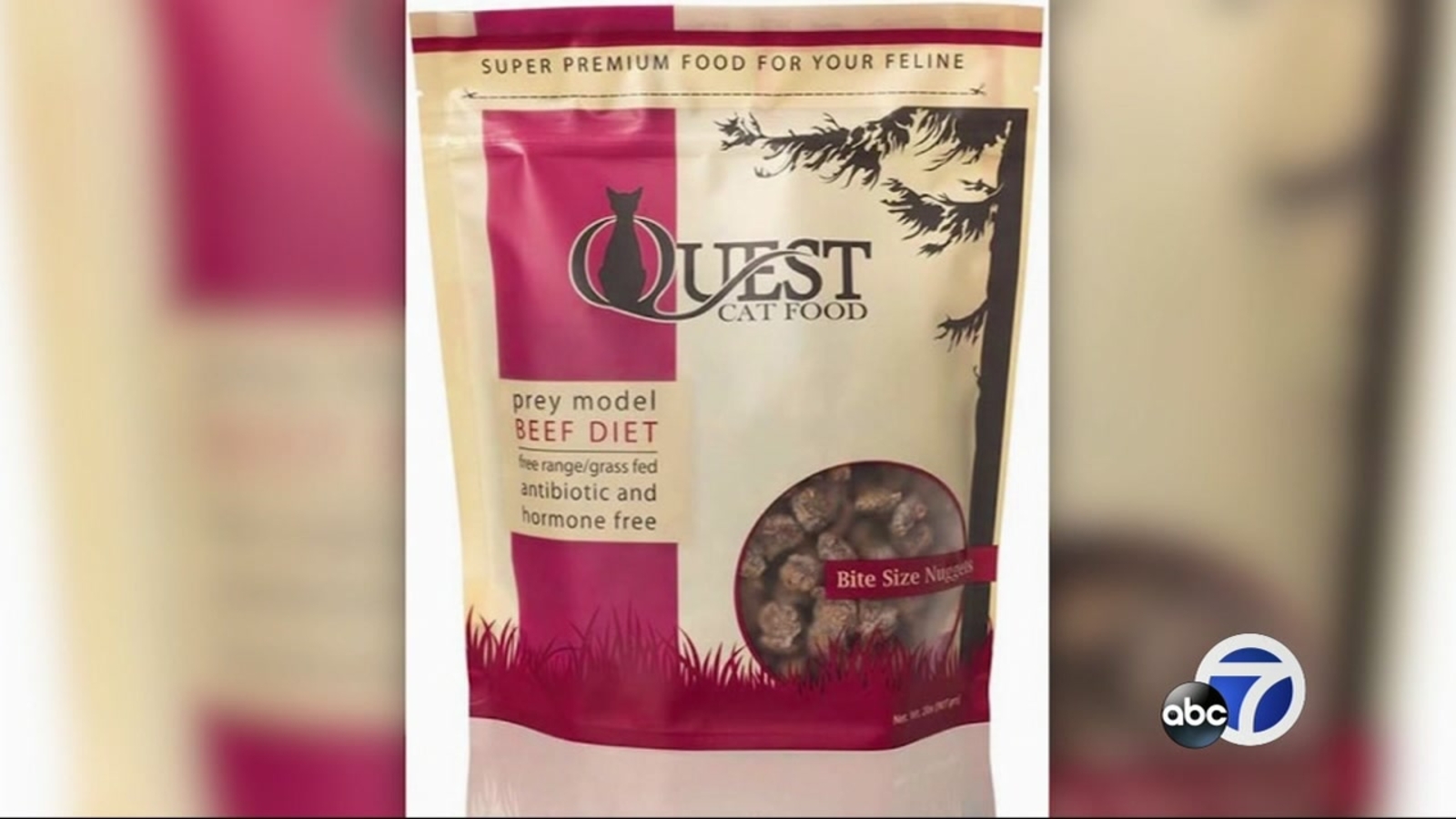 CONSUMER CATCH-UP: Cat food recalled due to salmonella, consumers warned of counterfeit fire extinguishers, and Dodge minivans recalled for loose seats - KGO-TV