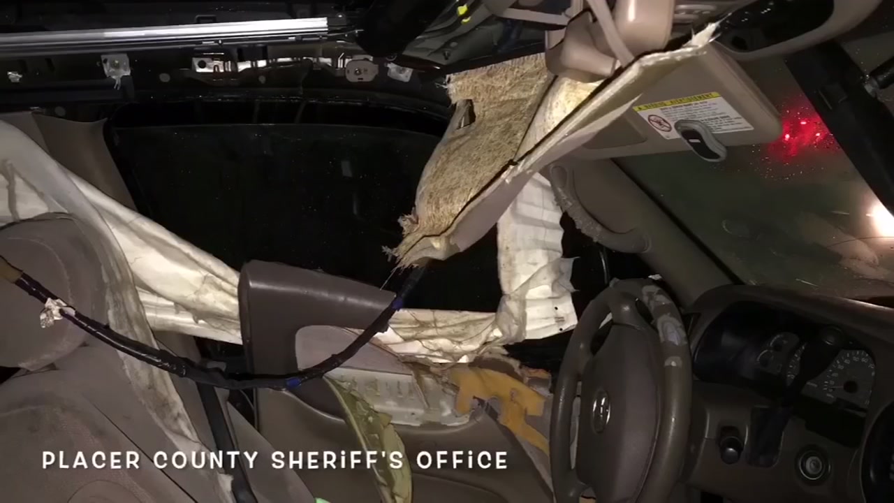 Hungry bear wrecks car after getting stuck inside