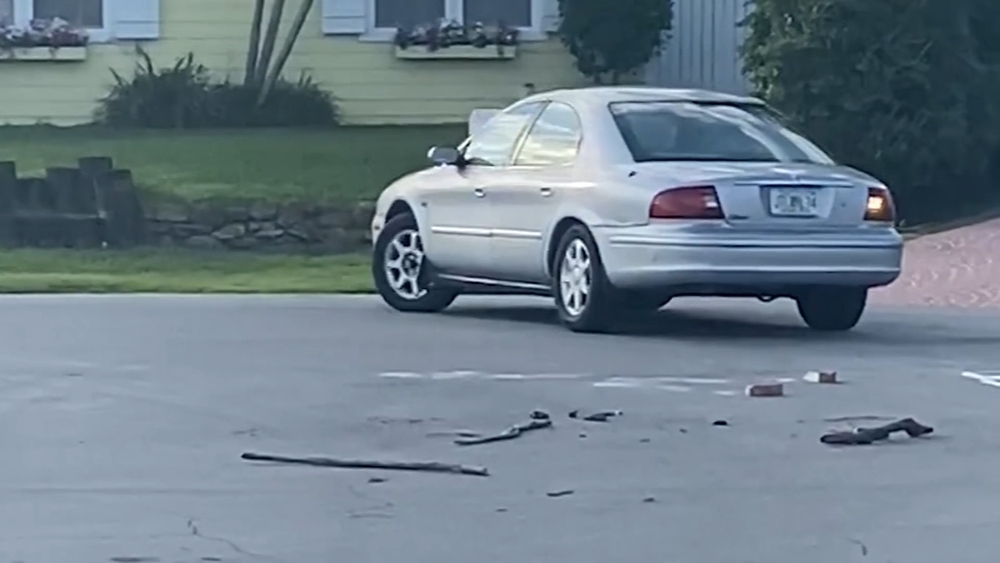Dog behind wheel as car drives in circles for an hour