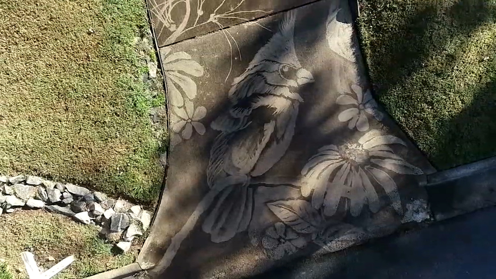 Woman Creates Masterpieces With Only a Dirty Driveway and a Powerwasher
