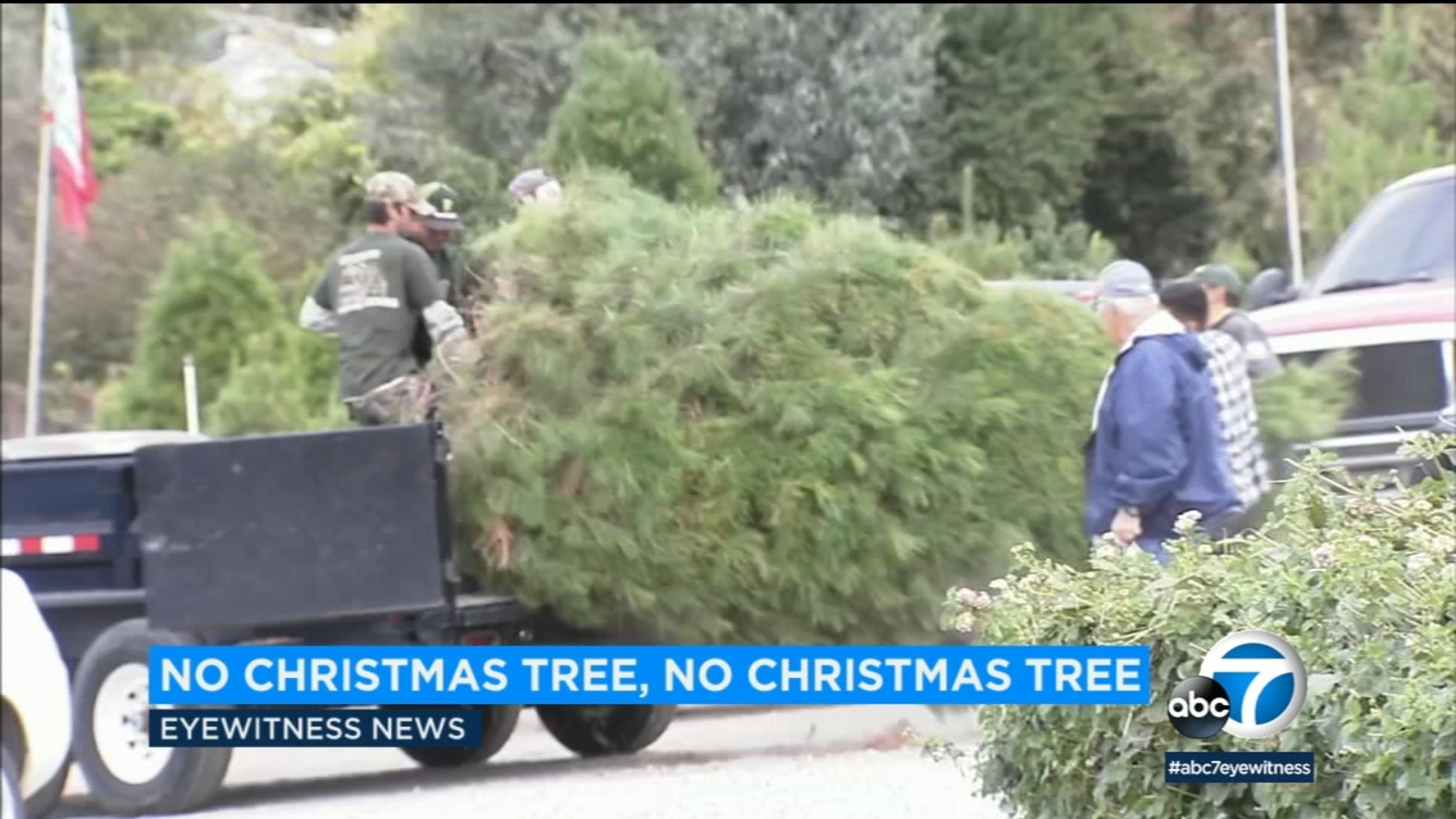 2022 Christmas Tree Shortage Christmas tree shortage Supplies tighter, prices up after years of