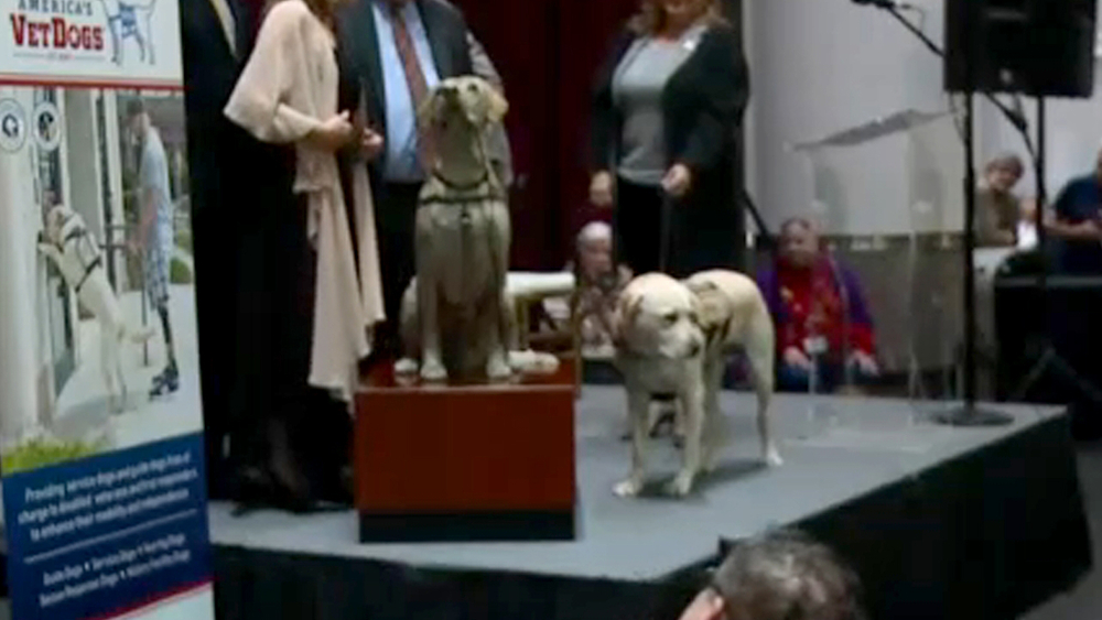 Statue revealed of Sully, former president's service dog
