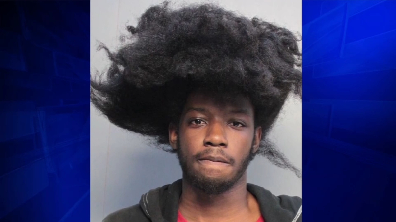 18yearold UPS employee stole 1K worth of holiday packages, police