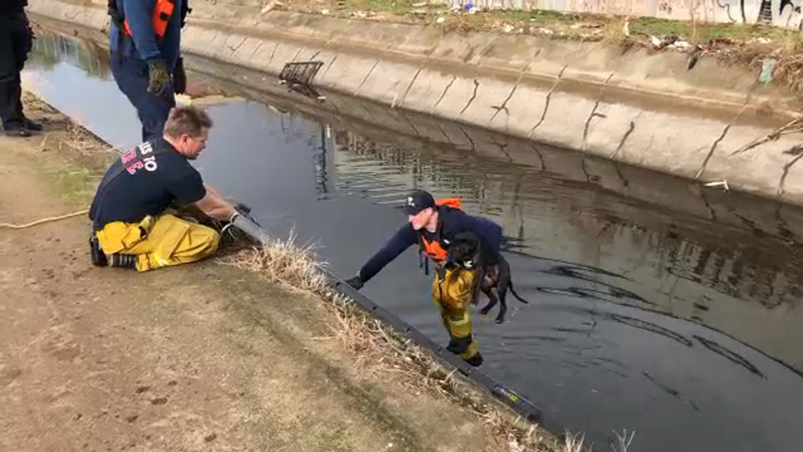 VIDEO: Firefighters rescue dog trapped in canal - ABC11 Raleigh-Durham