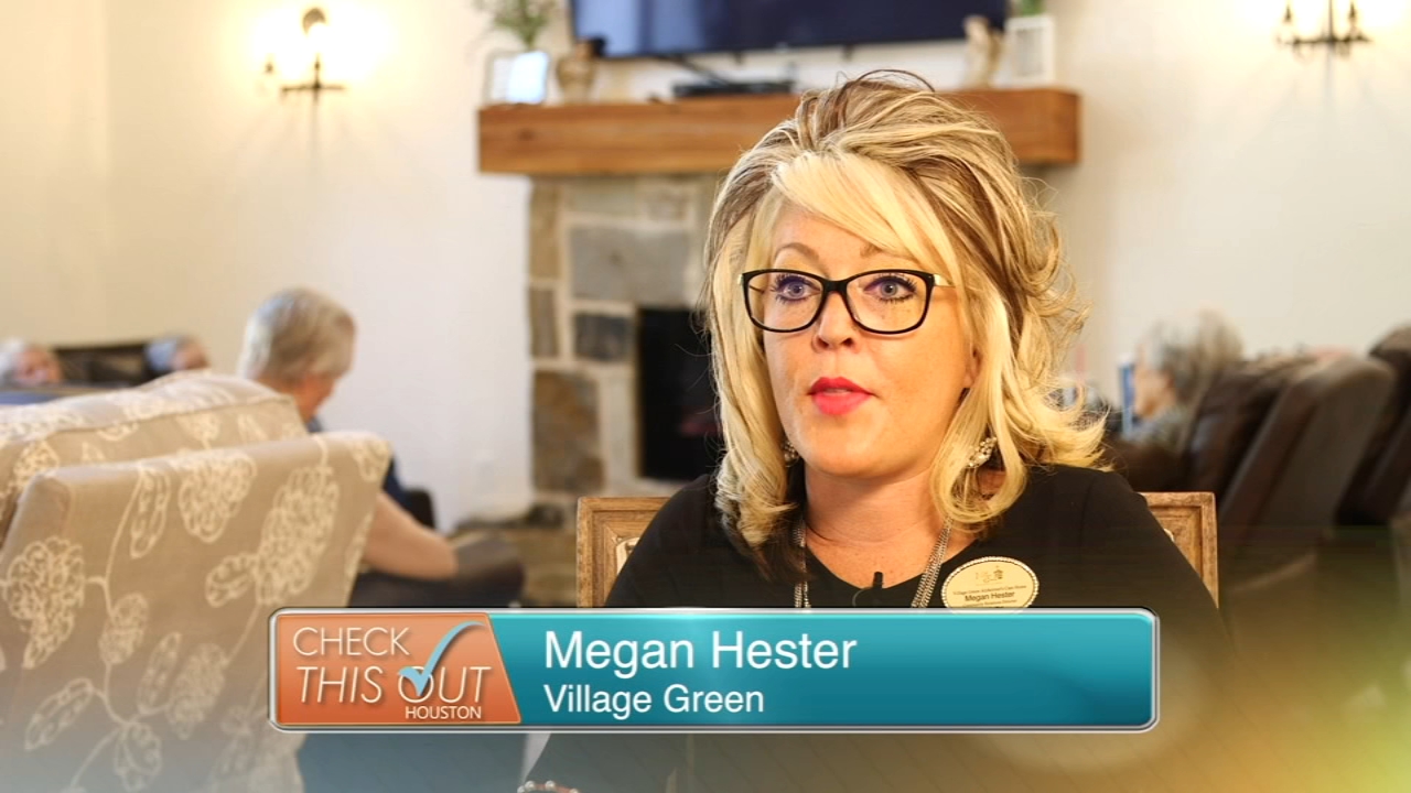 Check This Out Houston: Village Green