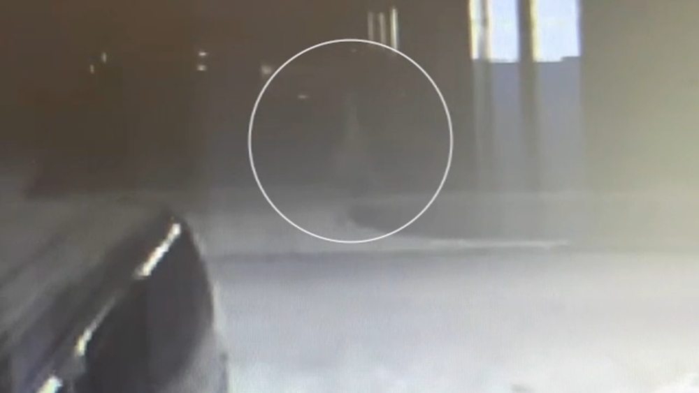 Video shows suspect running from police after officer shot