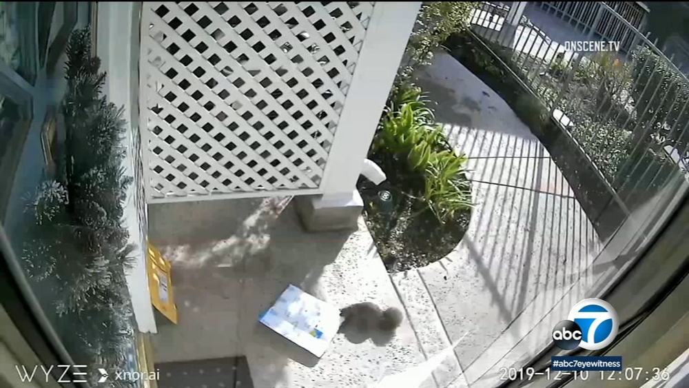 Squirrel pilfers package from San Pedro porch on video
