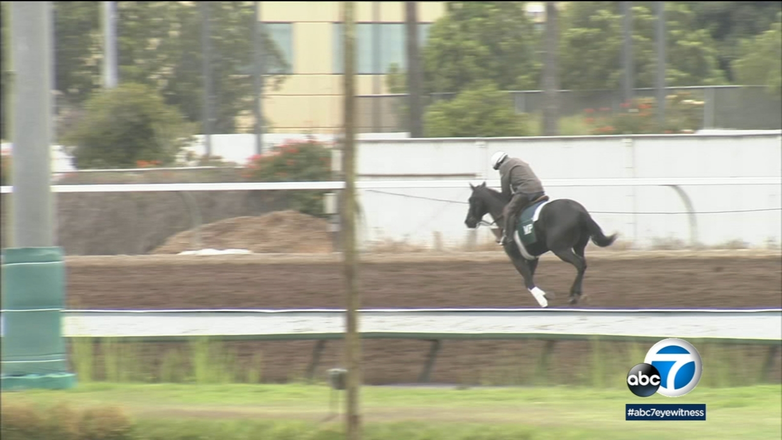 2 Horses Die After First Race At Los Alamitos Race Course ABC7 Los 