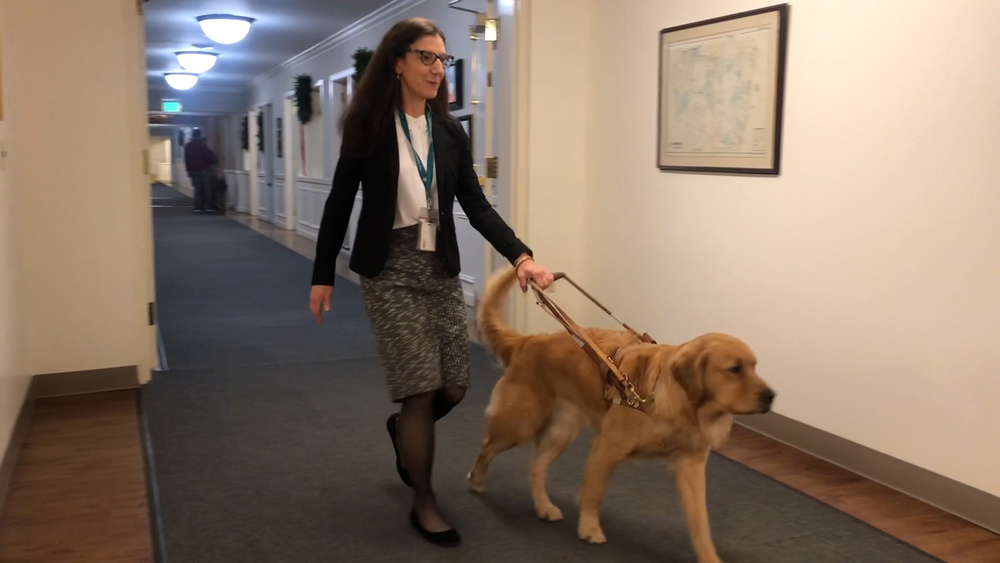Seeing Eye is one of the oldest guide dog schools in the world