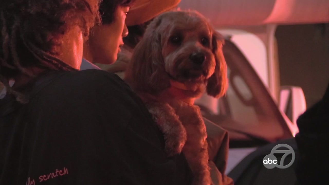 Dozens of pets unharmed after fire at boarding kennel in Redwood City