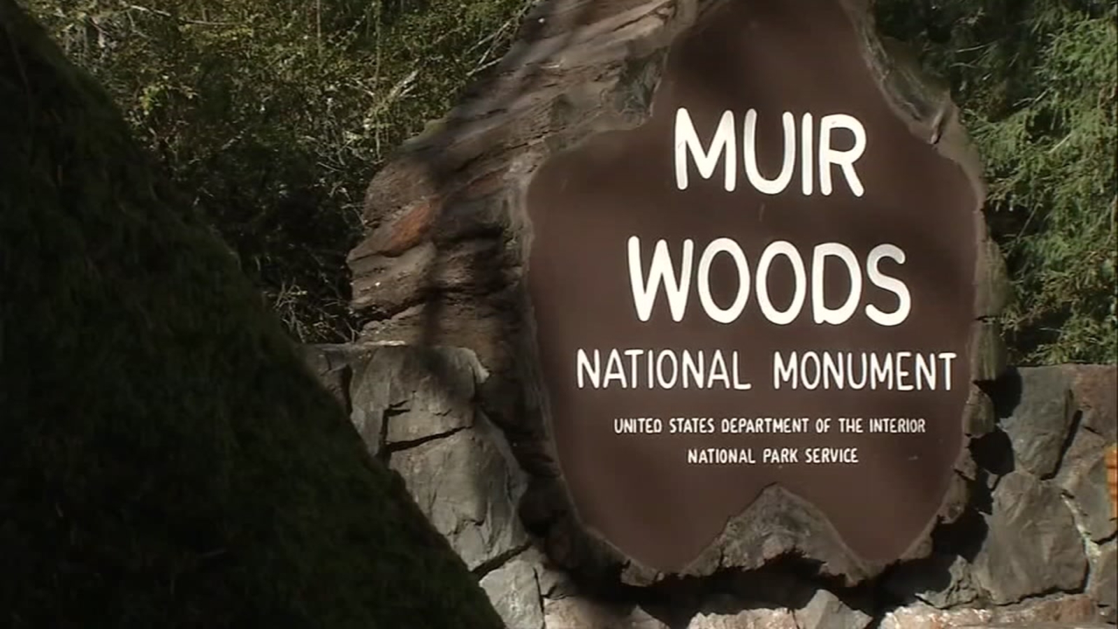 Government shutdown: List of what Bay Area national parks, tourist attractions are open and closed